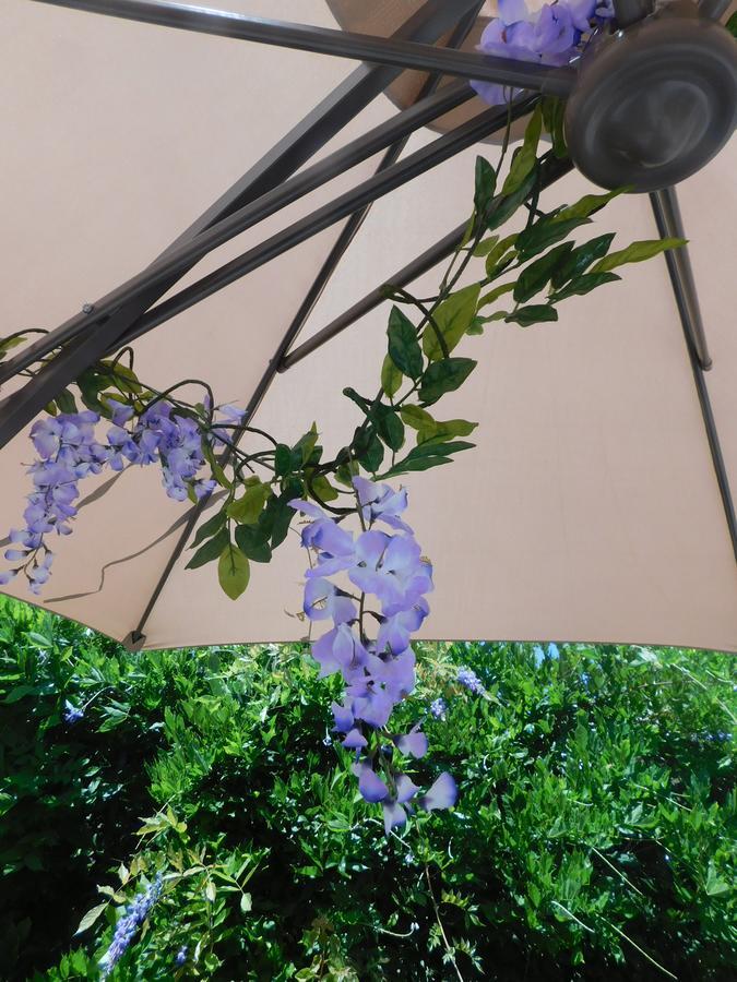 Stella Marina Sea & Sun Bed & Breakfast Cefalu Bagian luar foto